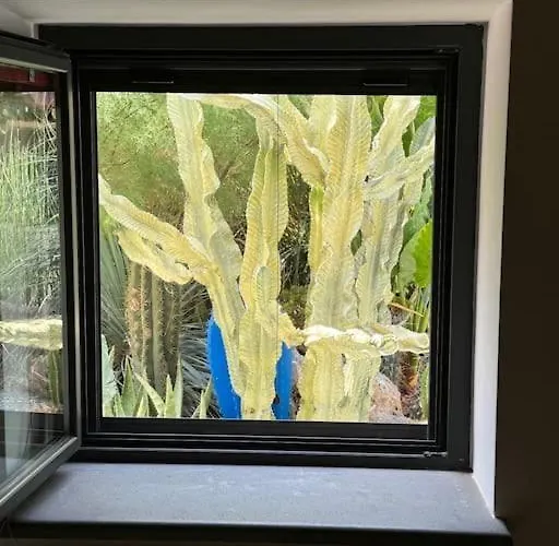 Casa Indipendente Con Vista Acquedotto *